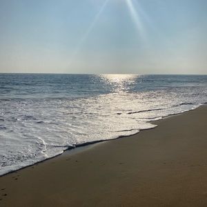 Meet your Posher, Carly